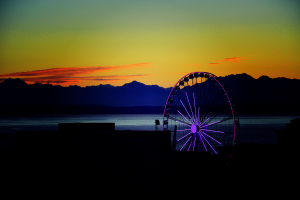 Take time in your life to look at all the beauty around you.